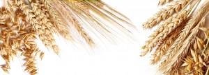 p-banner031403_看图王.jpg