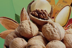 第十九届中国南京食品博览会暨采购交易会