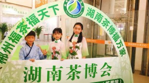 2021第十三届湖南茶业博览会