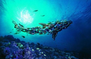 2023上海5月生物降解材料及制品展览会